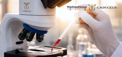 Optical Systems of Medical Microscopes: Overview of Technologies